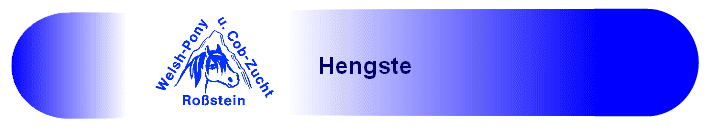  Hengste